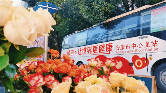 安康這三兄妹，熱血！