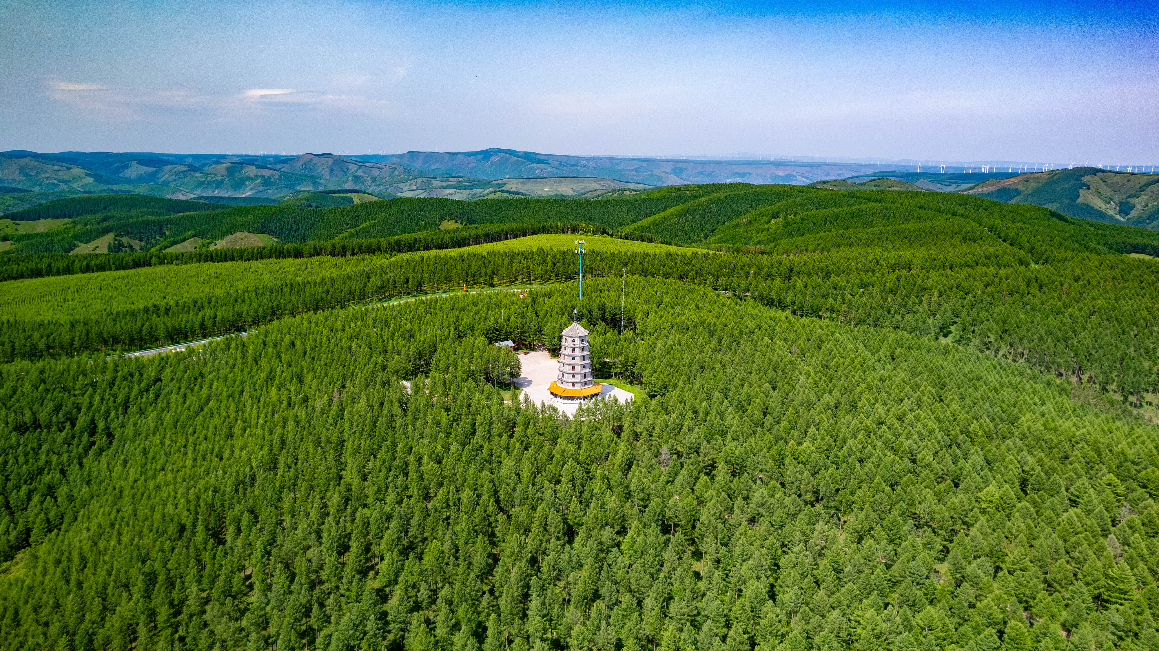 2025年6月11日，河北承德，塞罕壩林海浩渺。